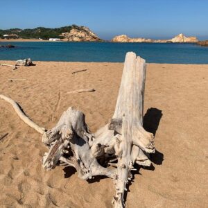 Instagram News - Find the latest Instagram news